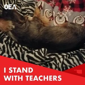 Meet your Posher, Shelly